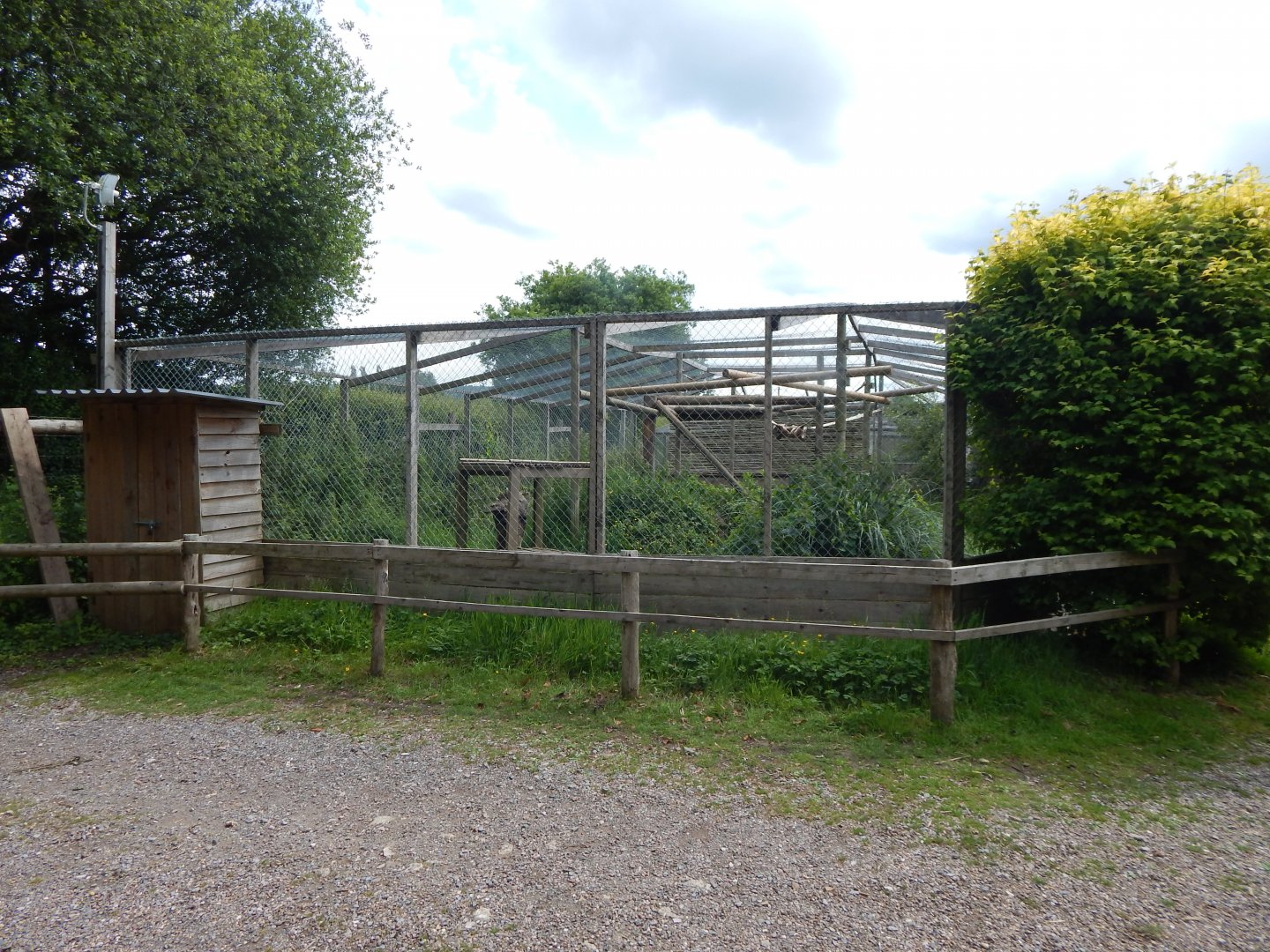 Serval enclosure 060625