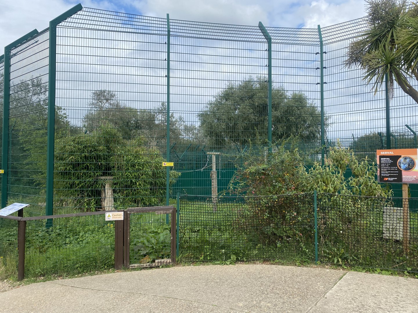 Serval enclosure 130923