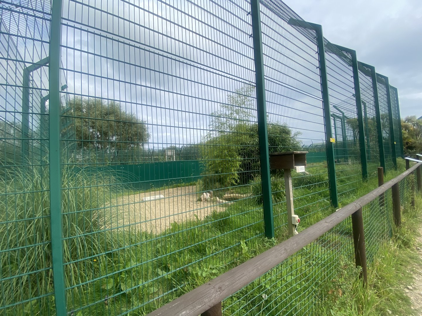 Serval enclosure 130923