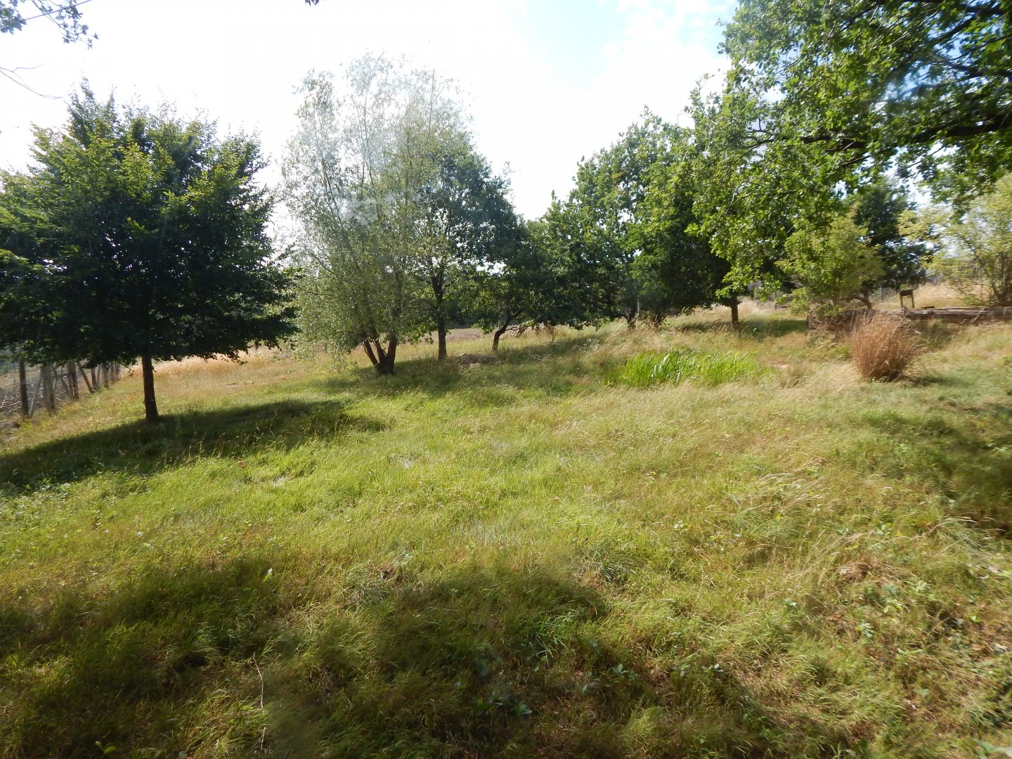 Serval Enclosure 150725