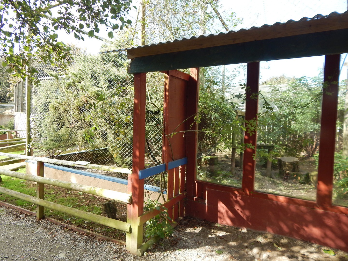 Serval enclosure 151022