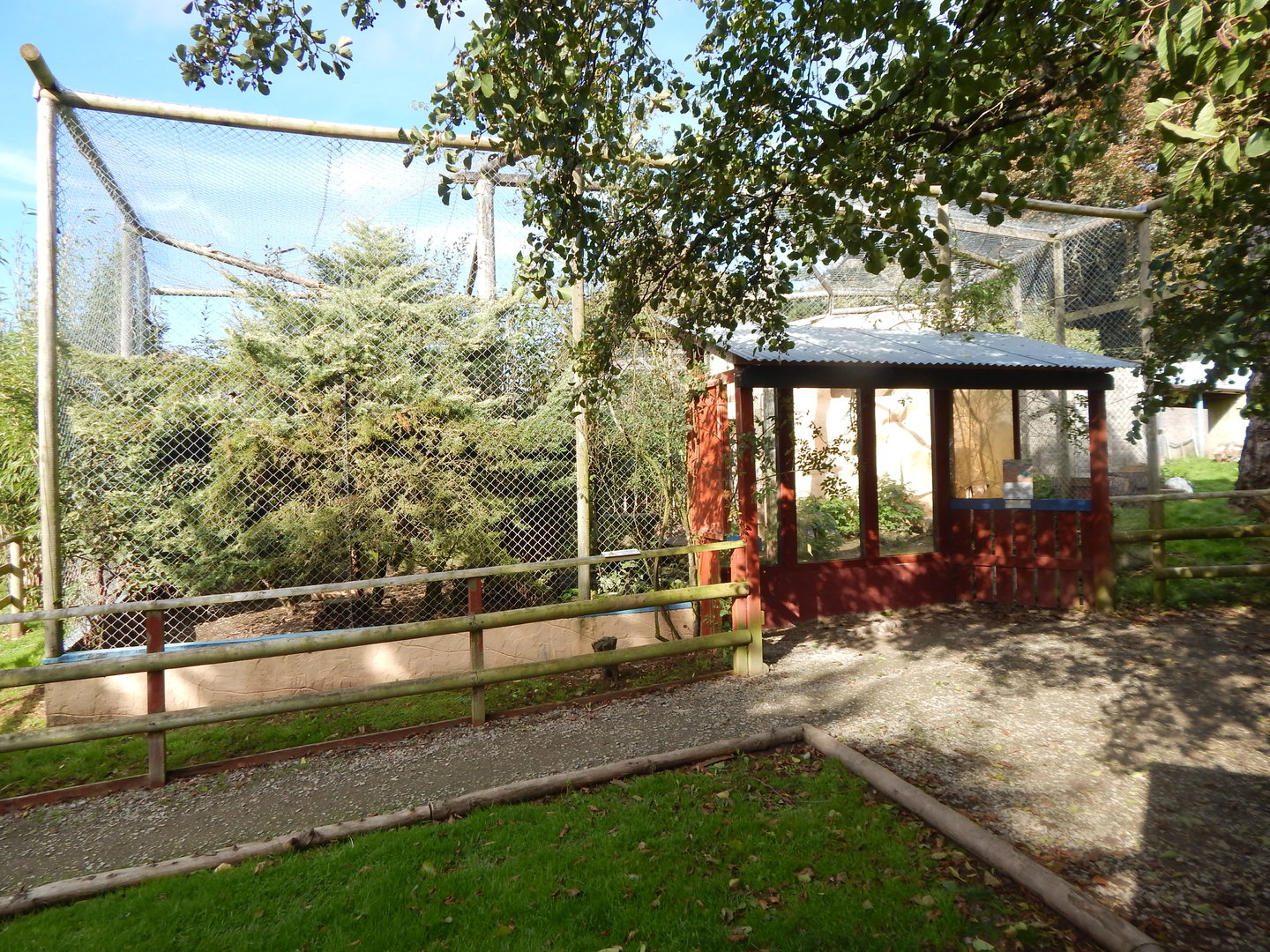 Serval enclosure 151022