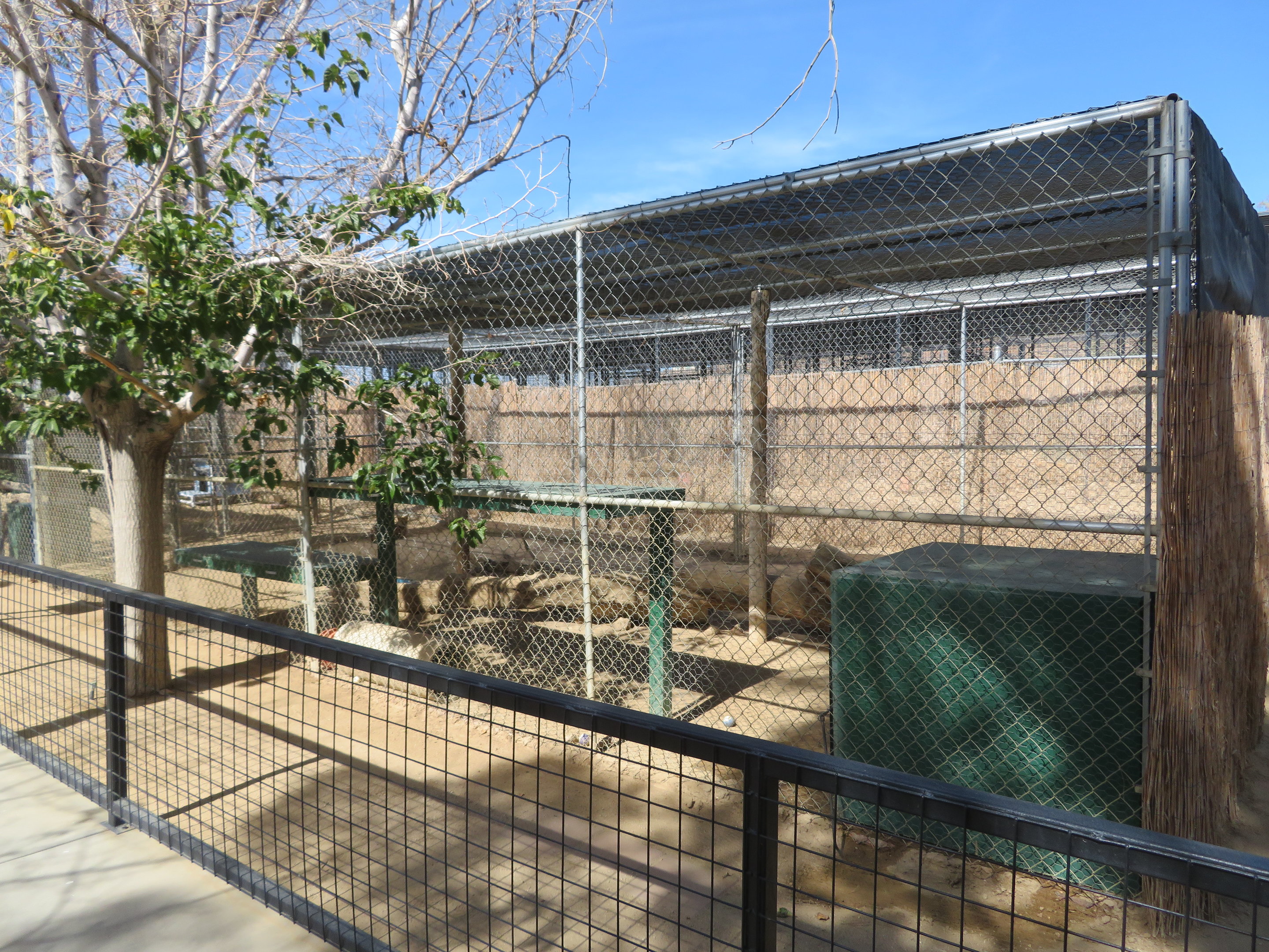 Serval Enclosure (2022)