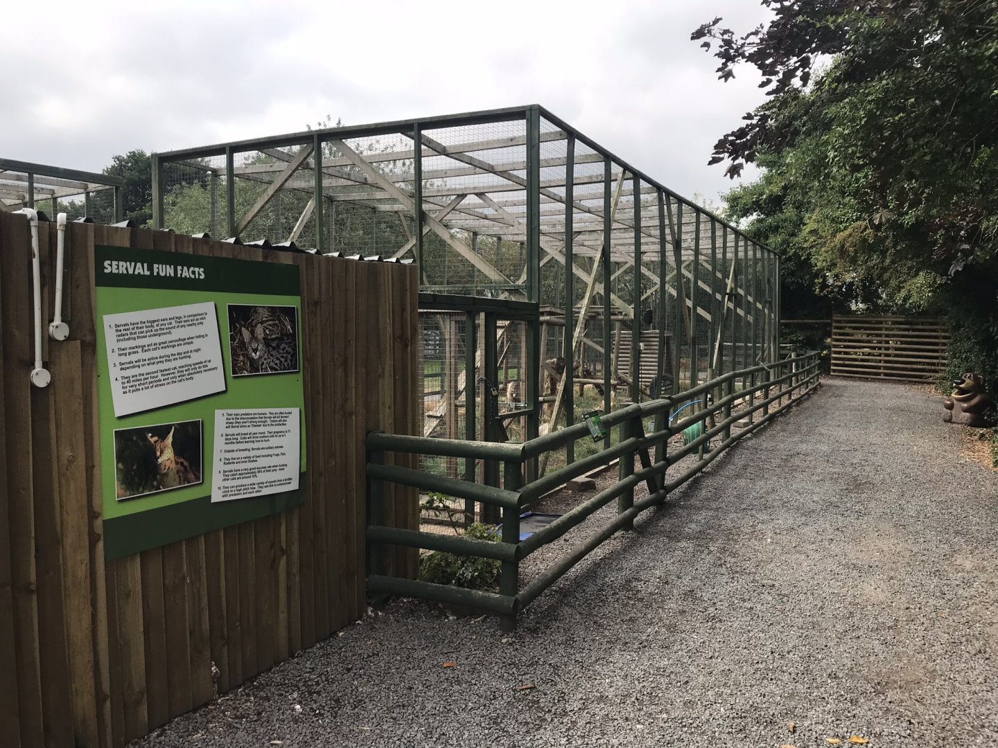 Serval enclosure 210718