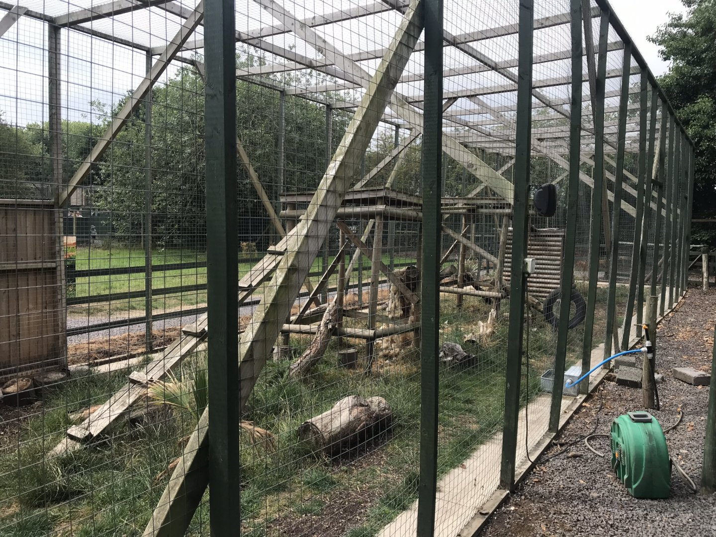 Serval enclosure 210718