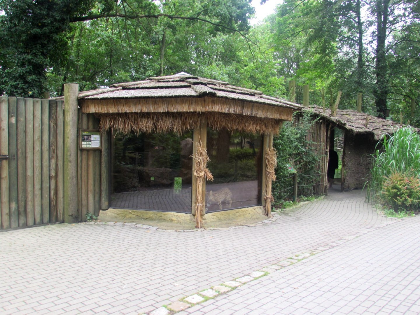 Serval enclosure and hut