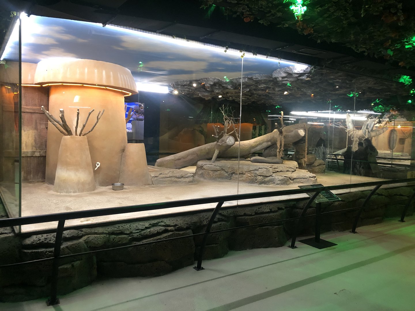 Serval Enclosure at Aqua Vega