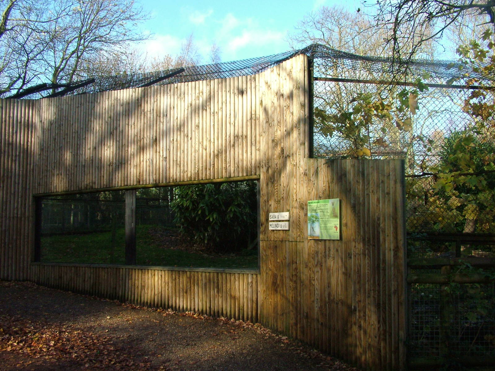 Serval enclosure at Howletts 26/11/09