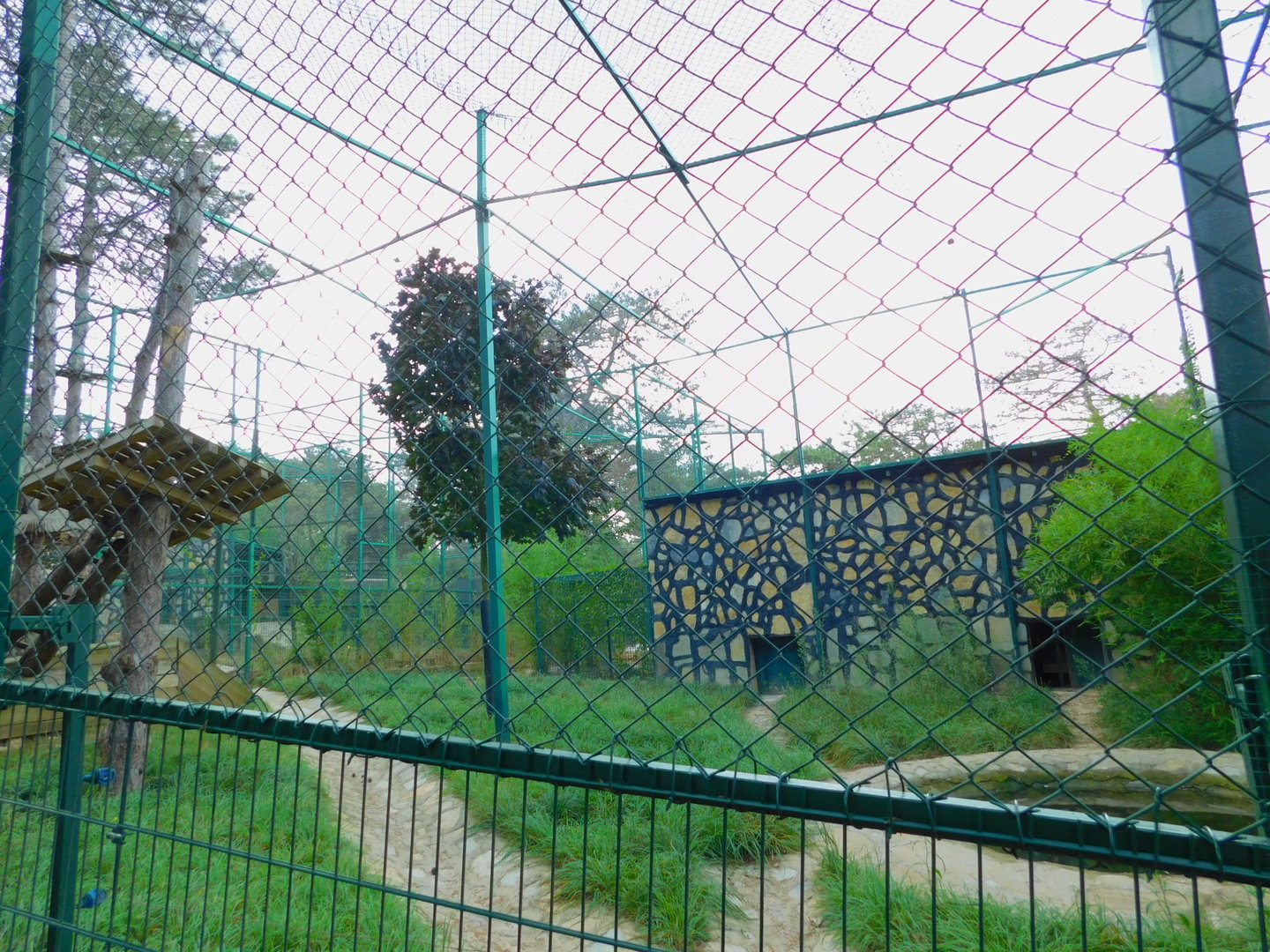 Serval Enclosure at Park of Istanbul