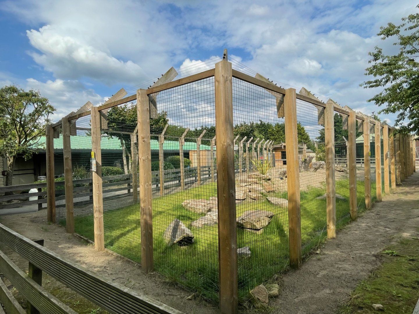 Serval Enclosure at Ponderosa Zoo (July 2021)