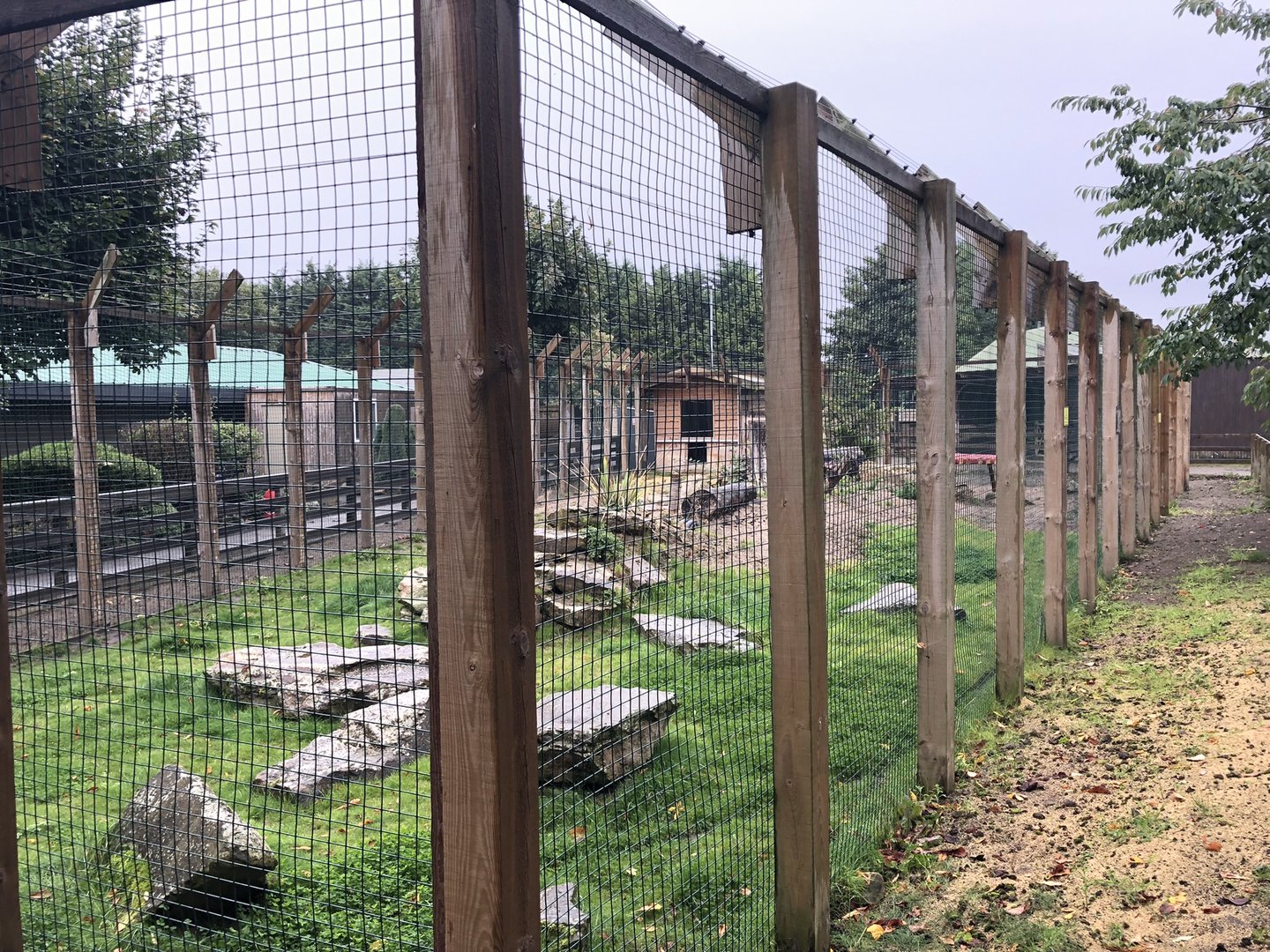 Serval Enclosure at Ponderosa Zoo (October 2022)