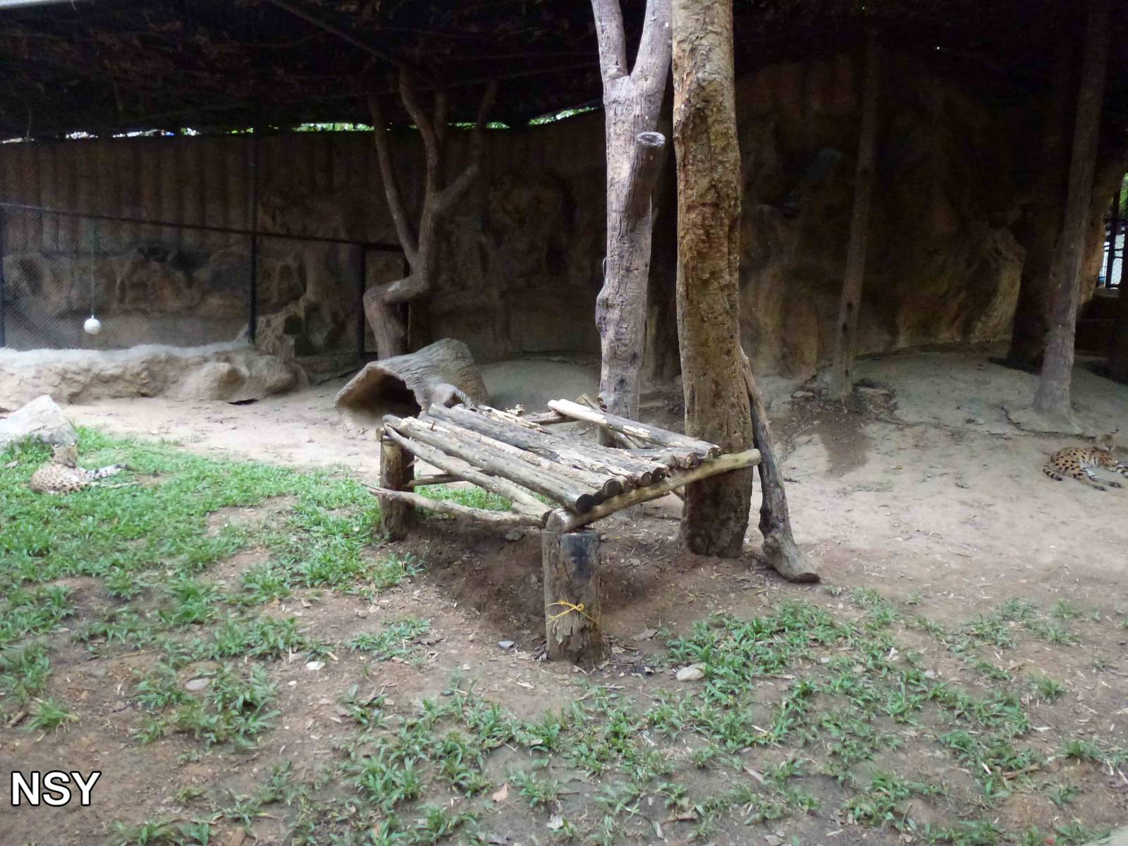 Serval enclosure, June 2013.