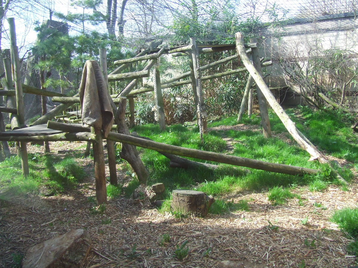 Serval enclosure, Lion Terraces