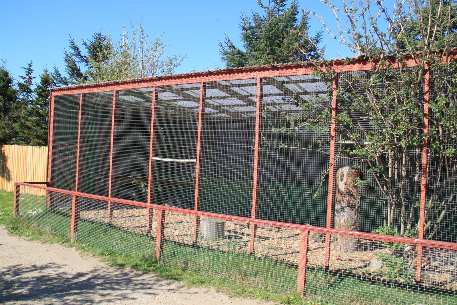 Serval Enclosure