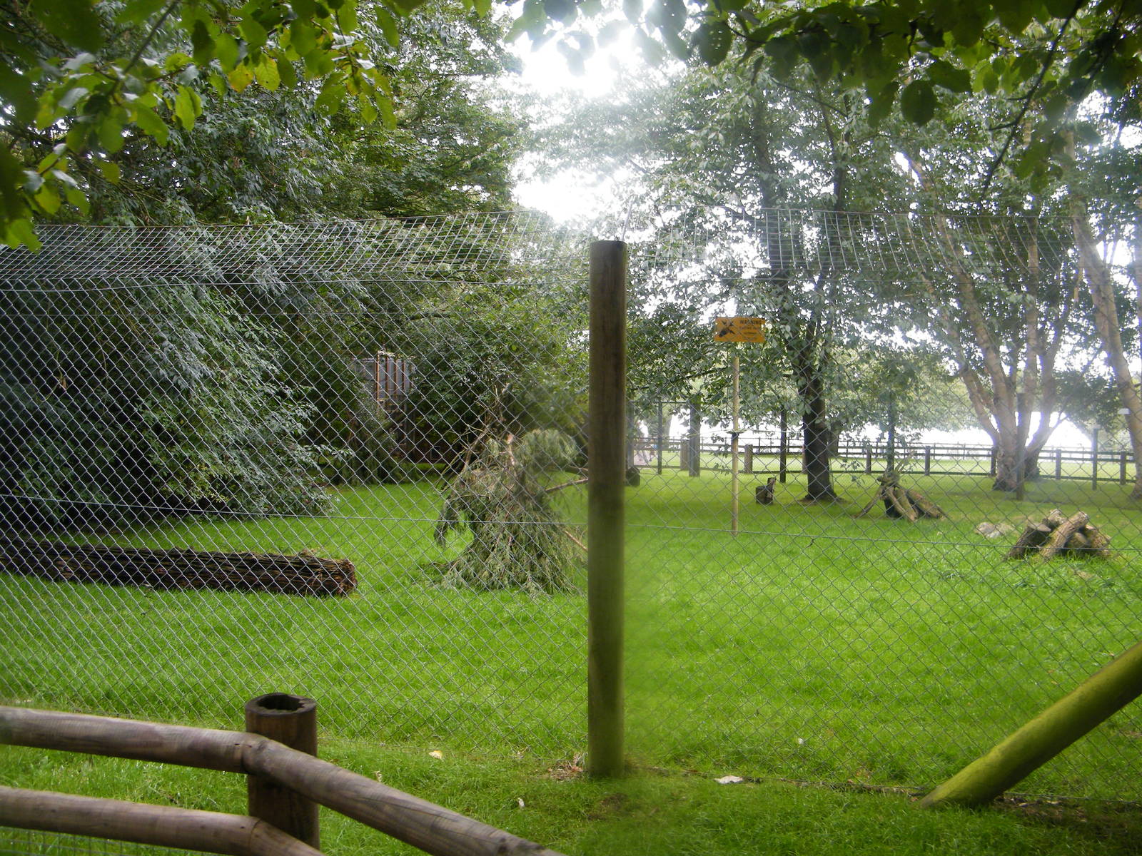 Serval enclosure