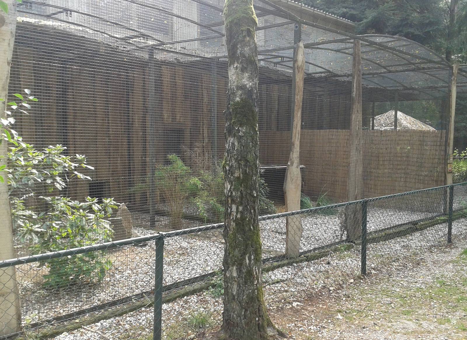 Serval enclosure