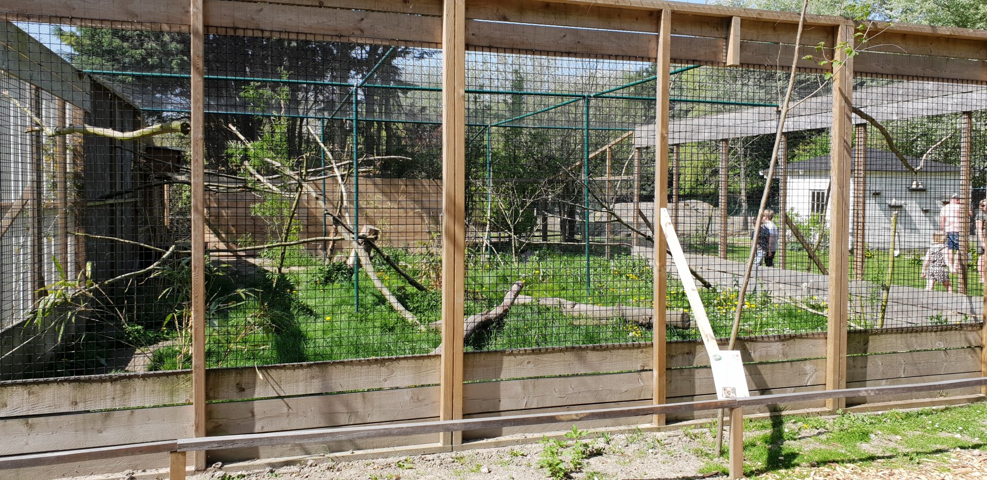 Serval-enclosure