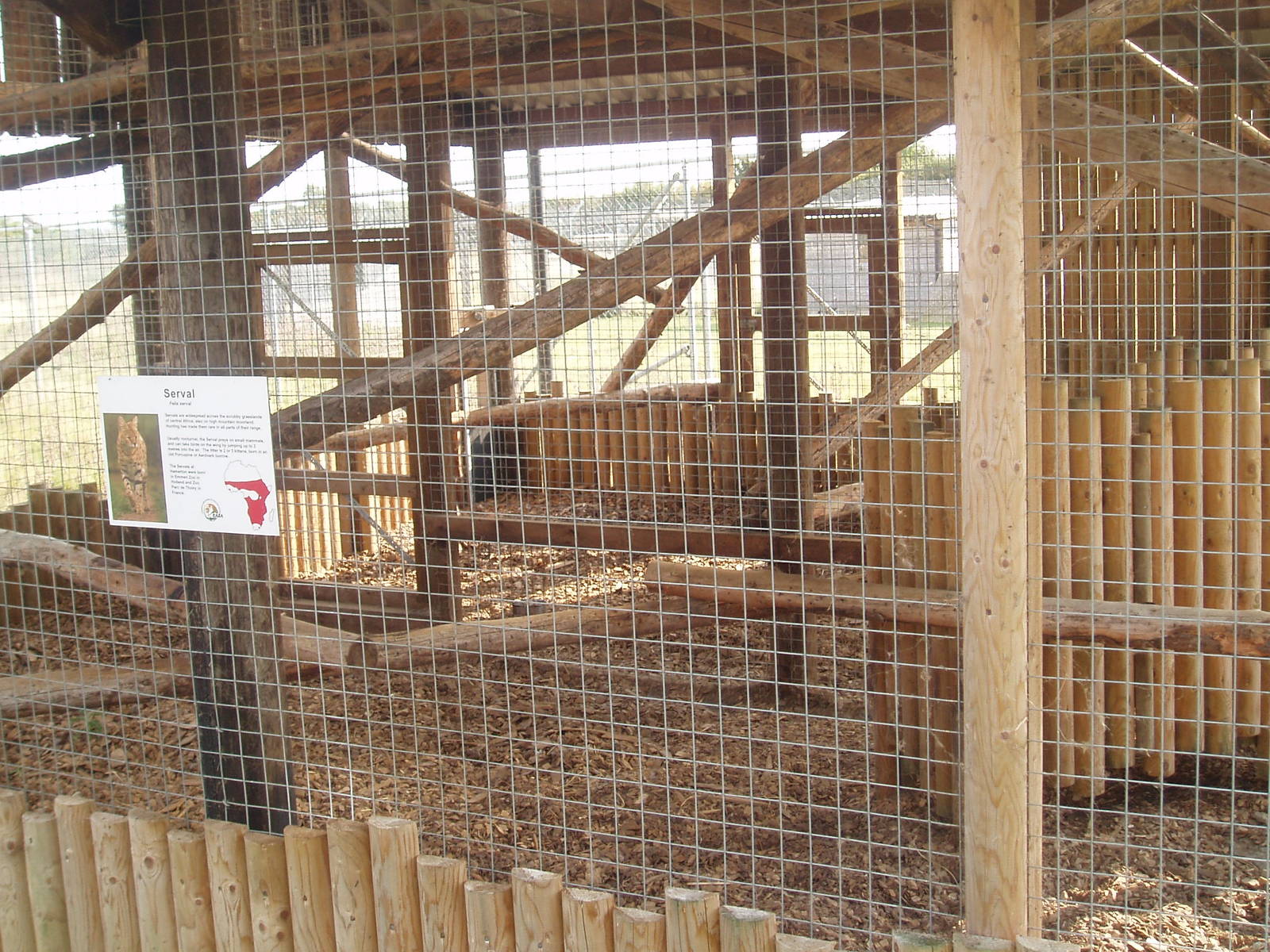 Serval enclosure