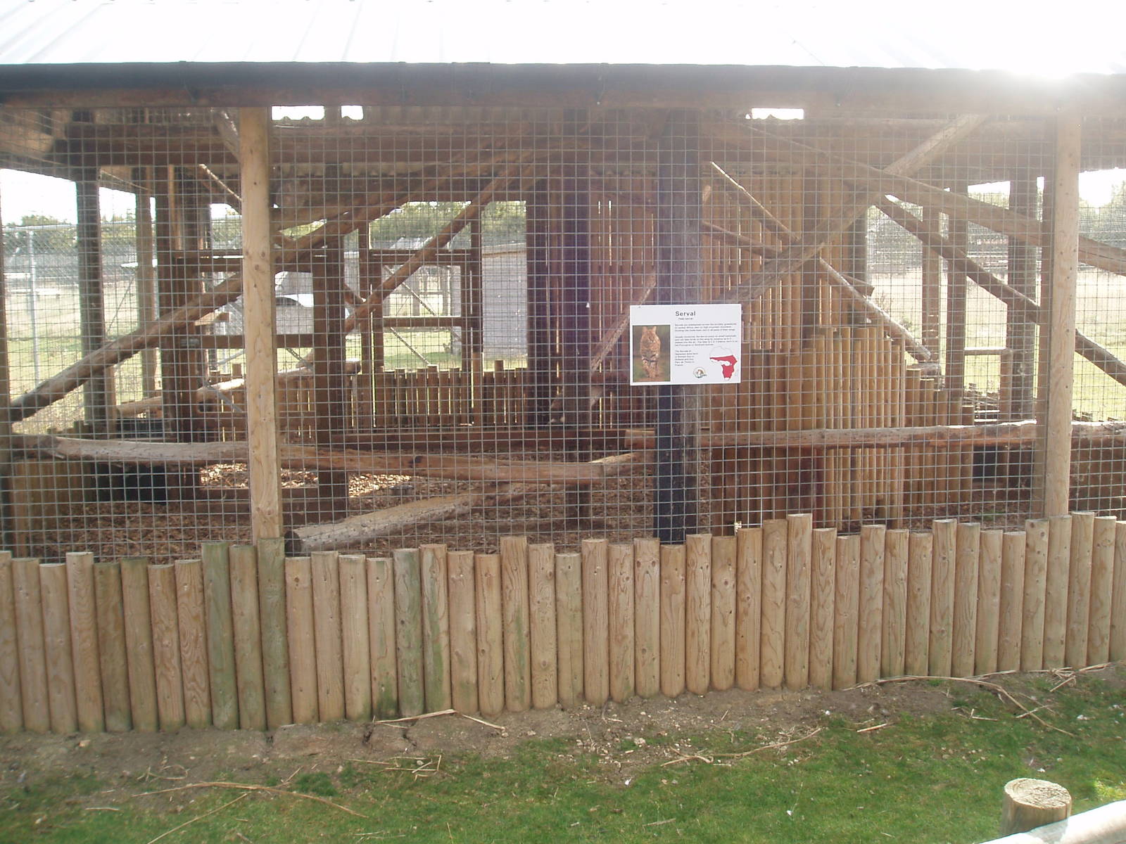 Serval enclosure