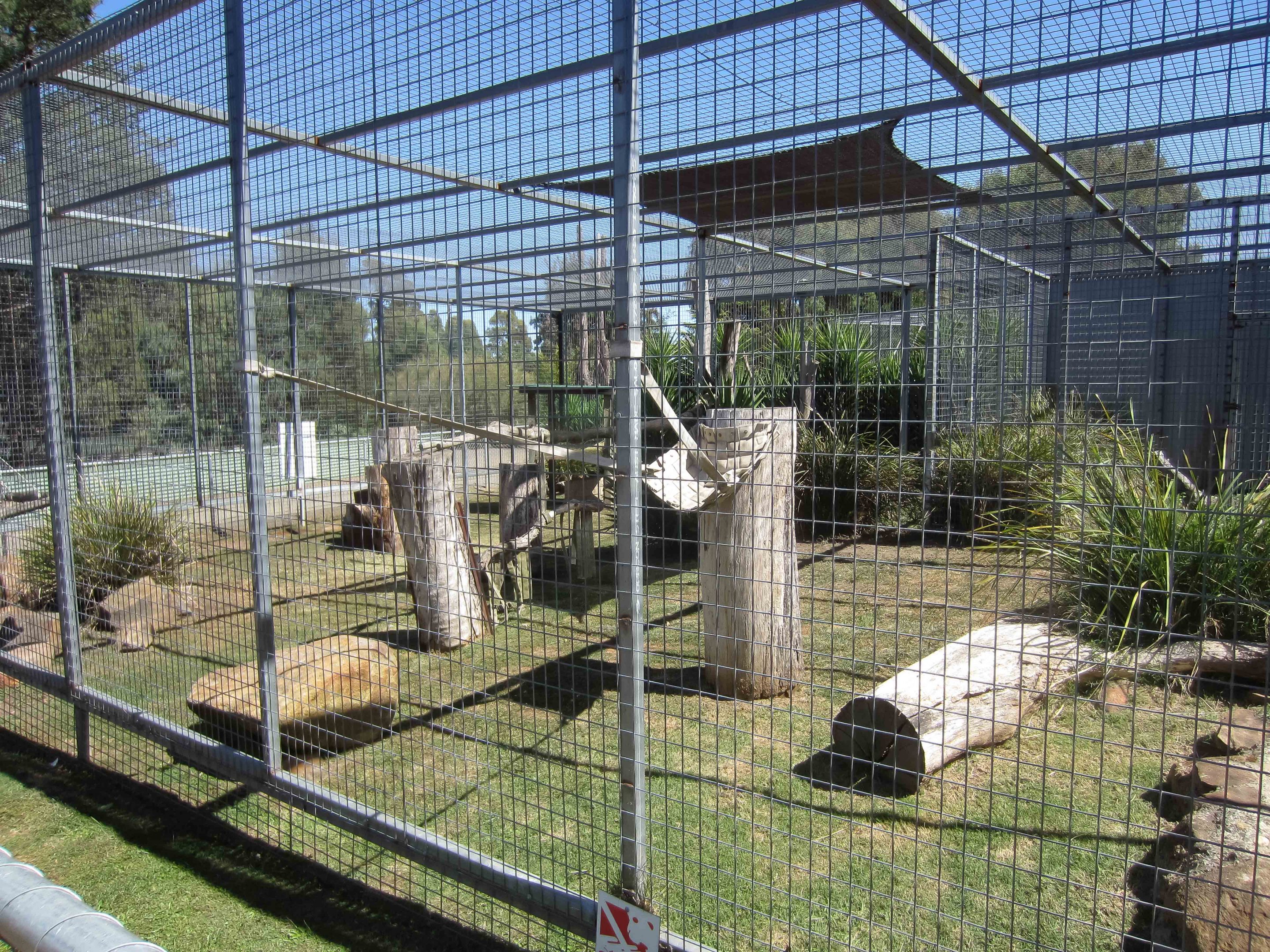Serval enclosure