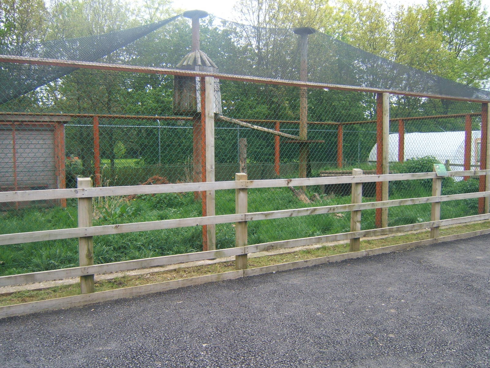 Serval enclosure