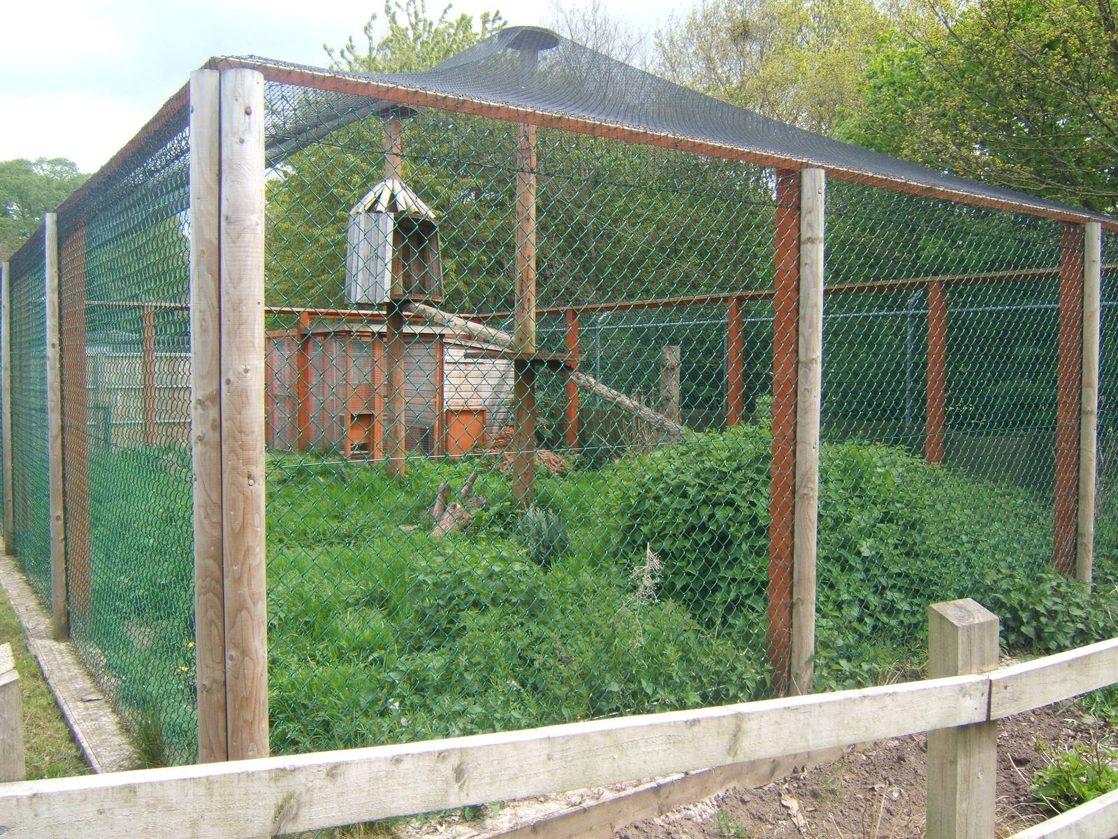 Serval enclosure