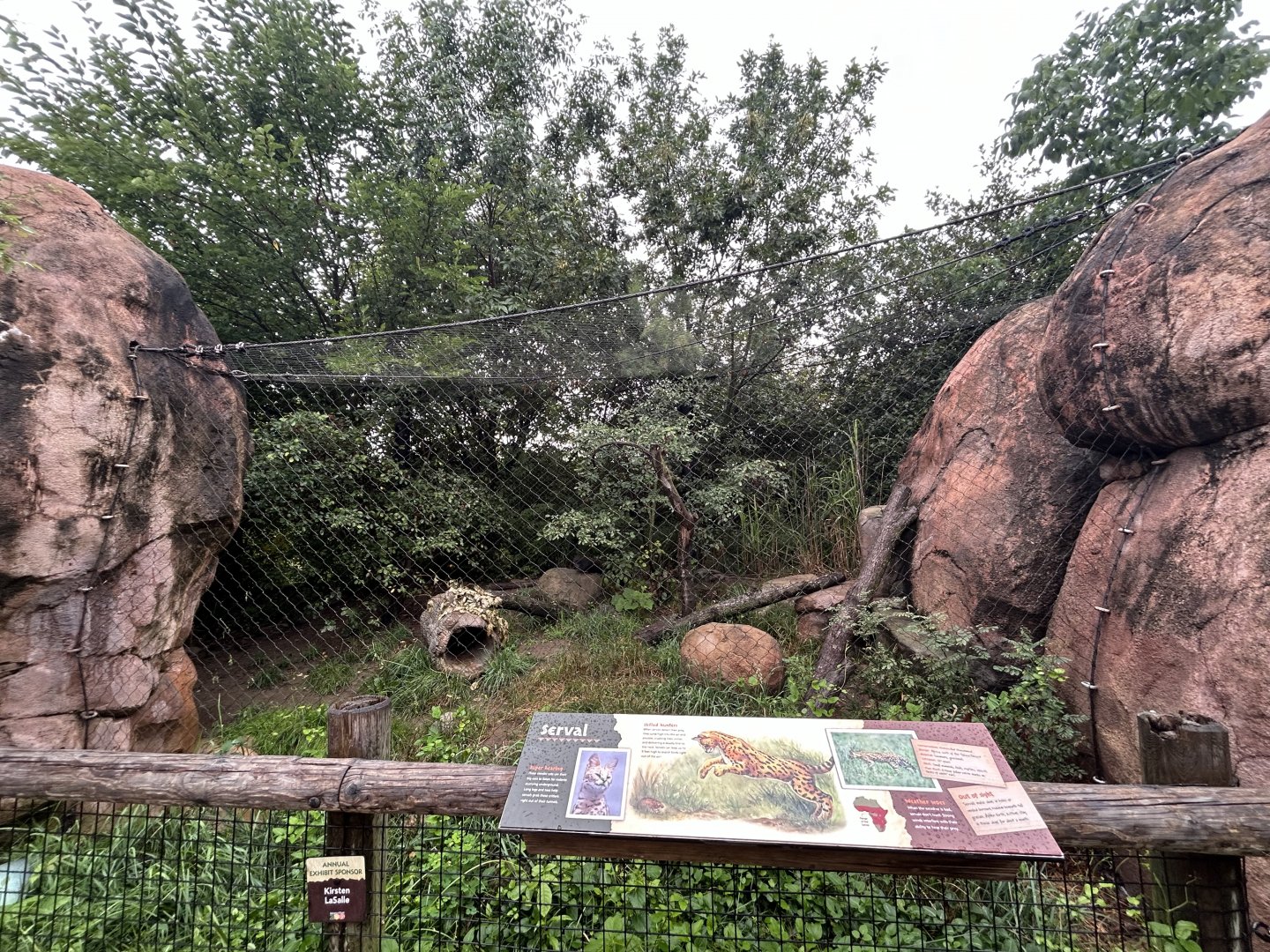 Serval Exhibit - African Journey