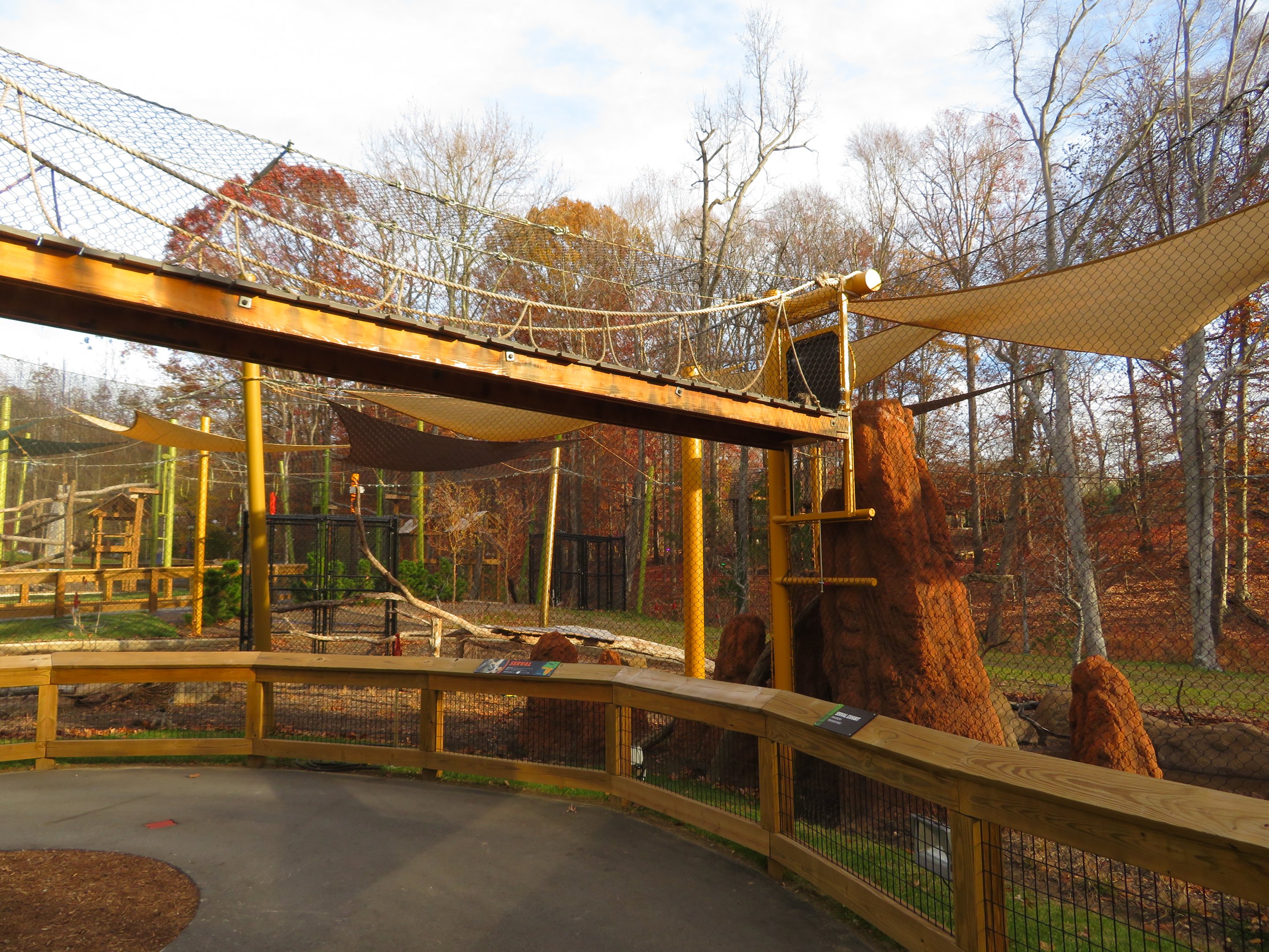 Serval Exhibit and Overhead Path