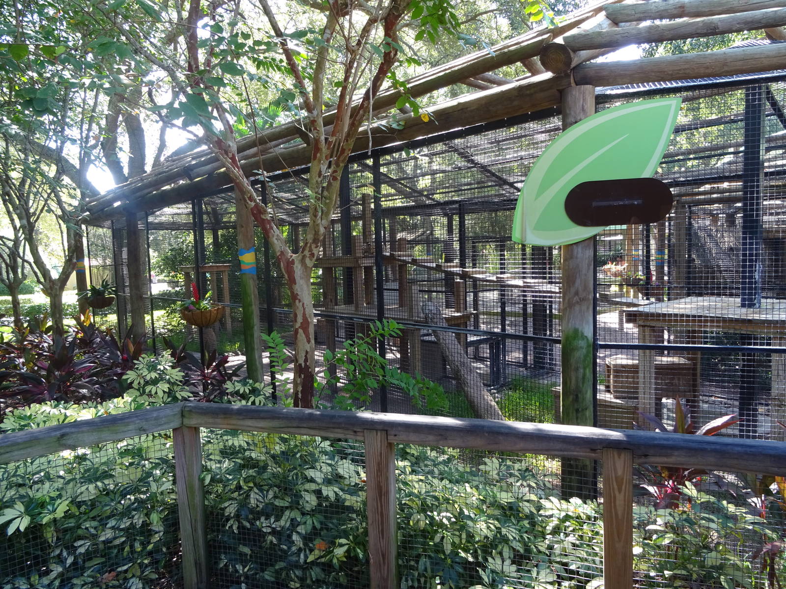 Serval Exhibit at Busch Gardens Tampa