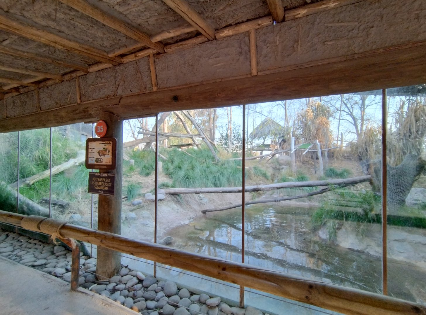 Serval exhibit - Buin zoo