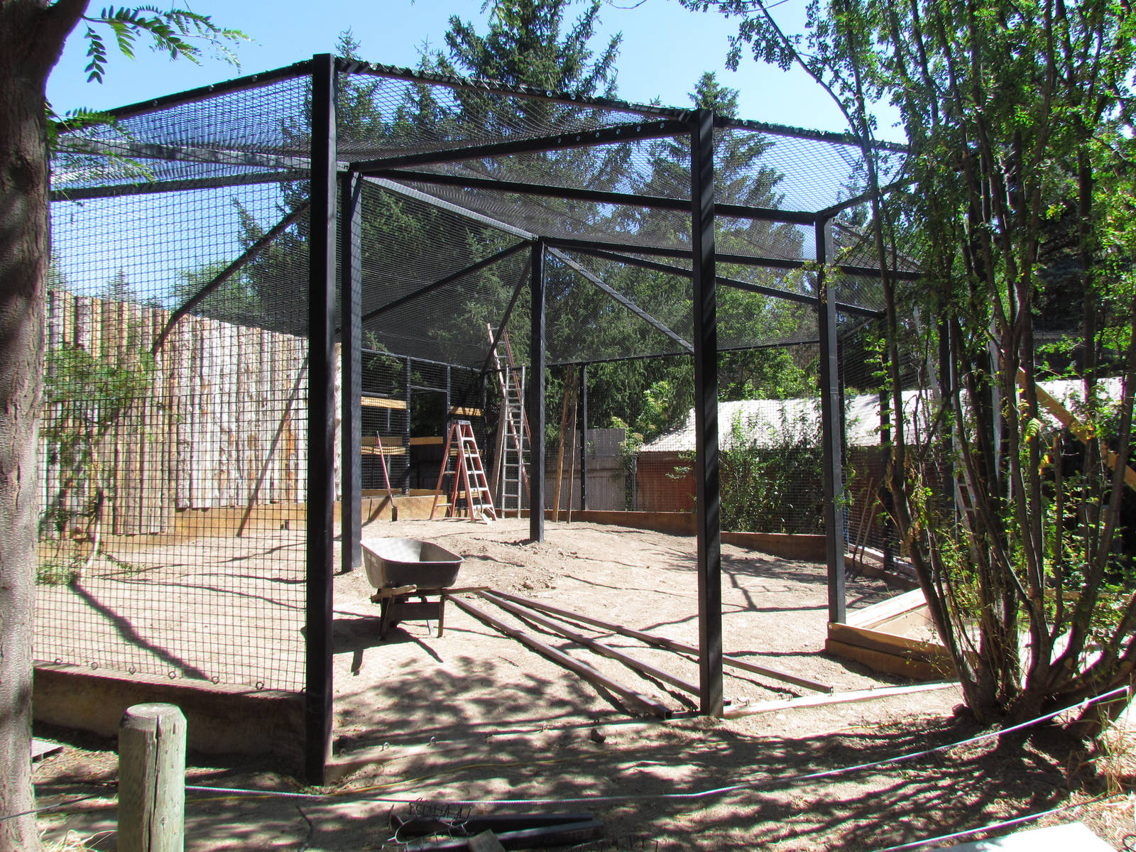 Serval Exhibit Construction