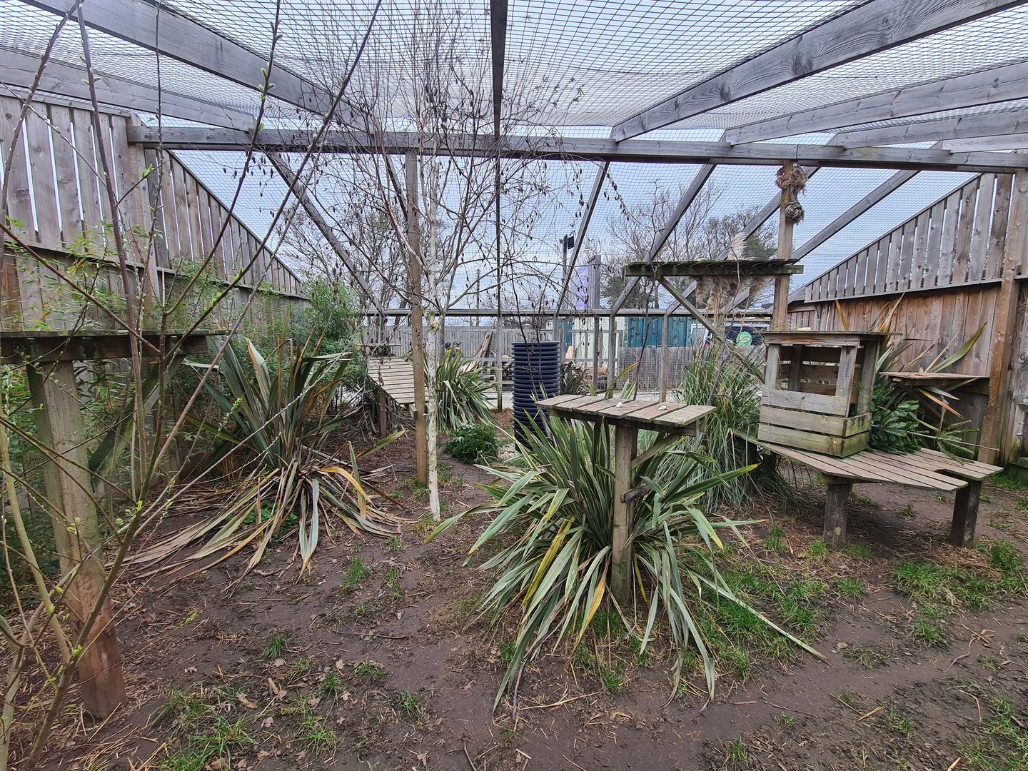 Serval Exhibit, Fenn Bell