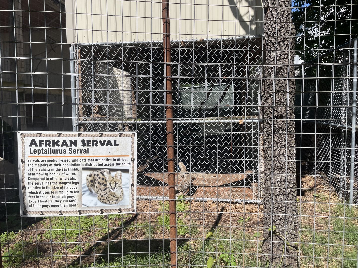 Serval Exhibit- May 2024