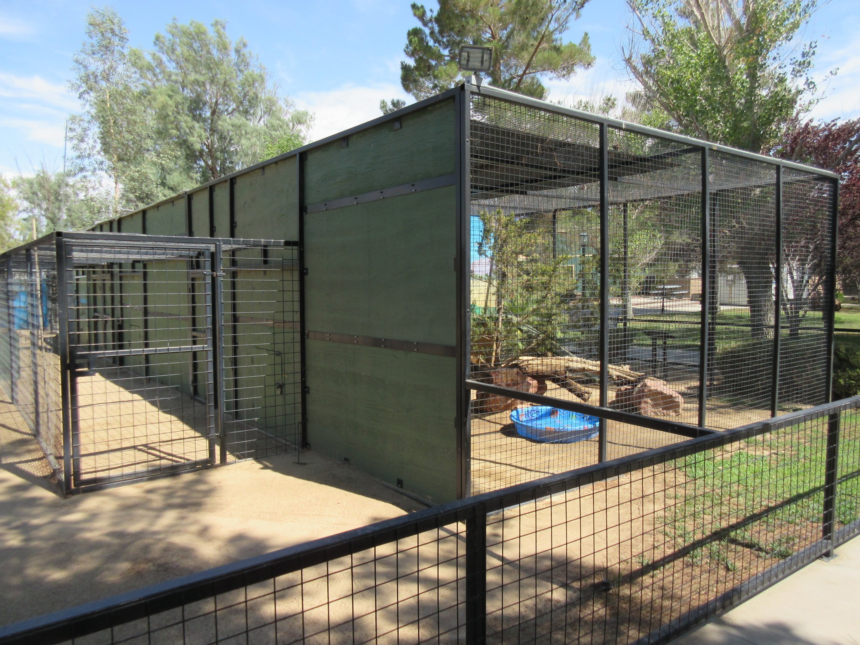 Serval Exhibit - Side View