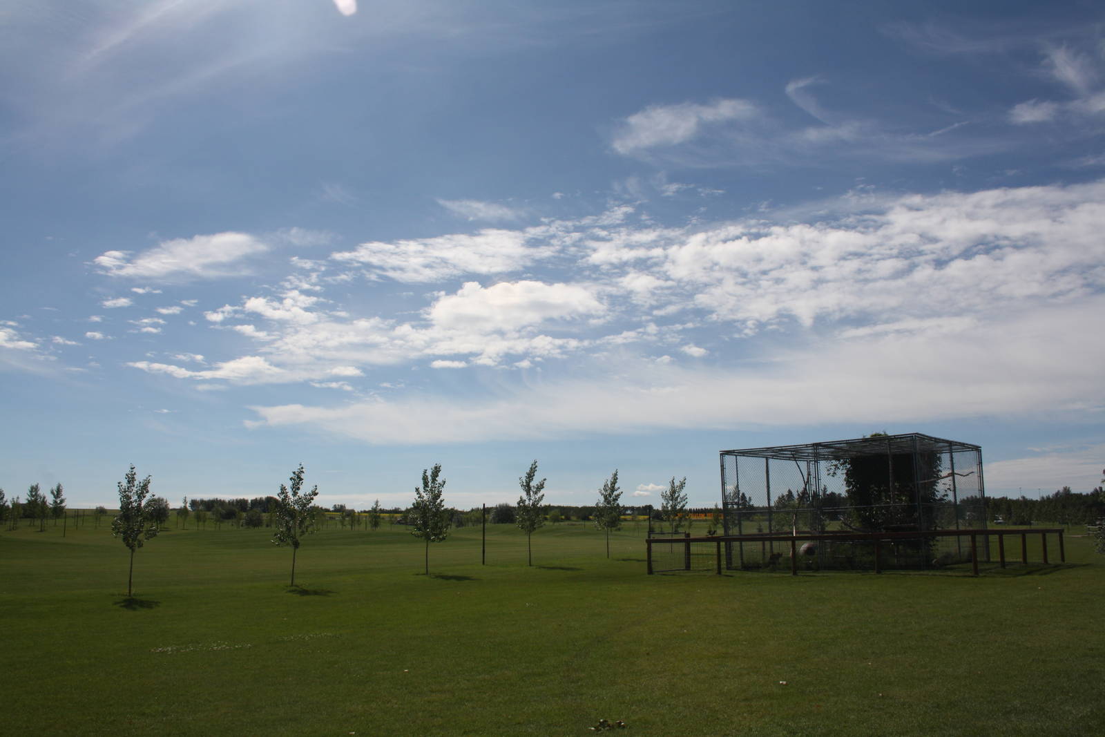 Serval Exhibit + Surrounding Lawn