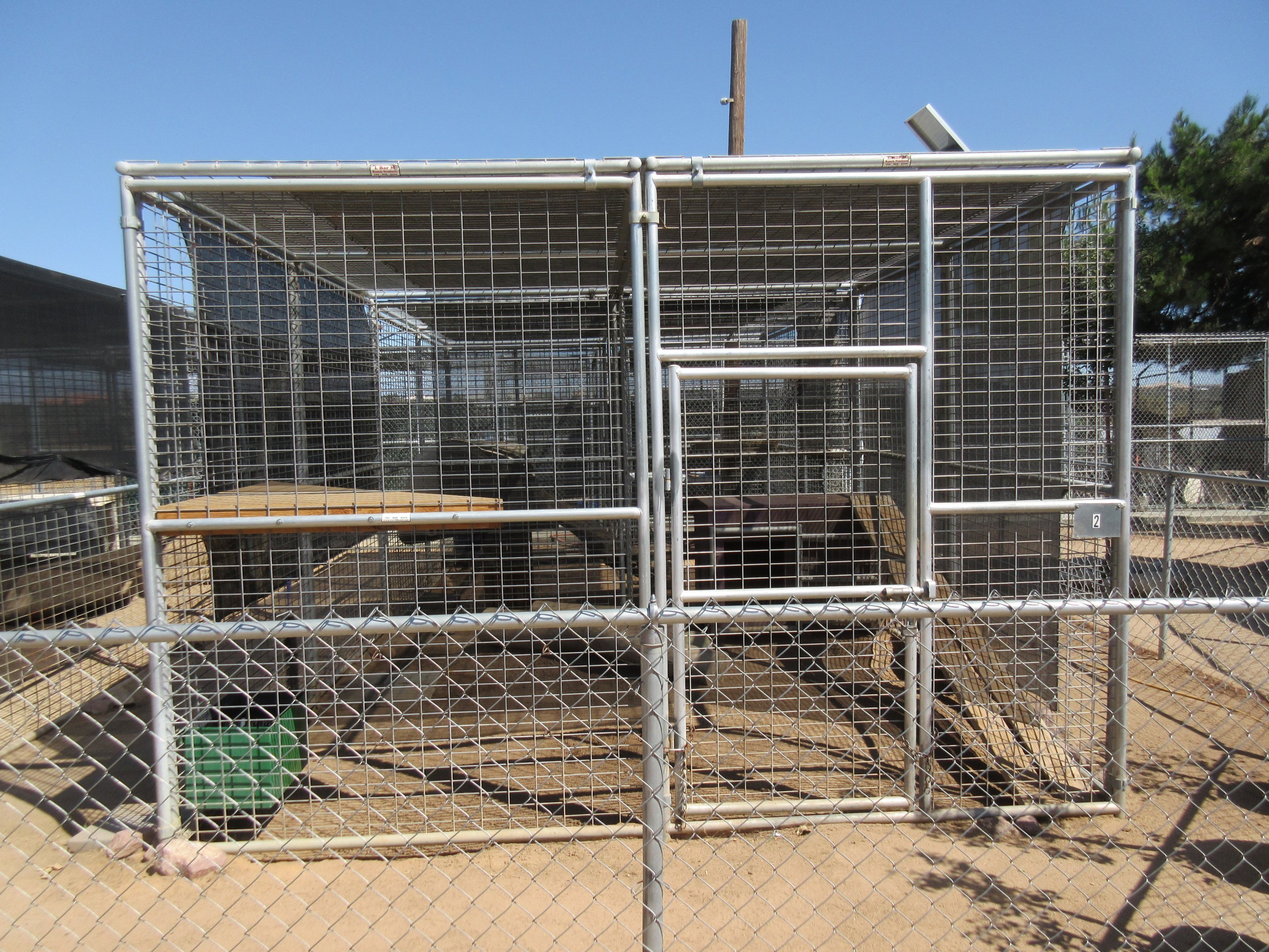 Serval Exhibit (the zoo has 6 Servals in various cages)