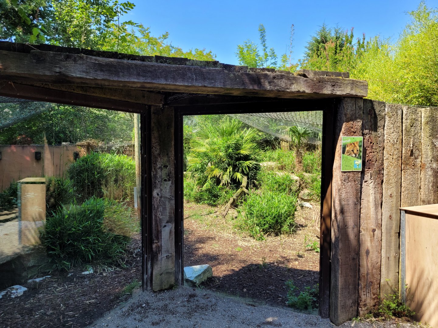 Serval exhibit -Zoo d'Asson (2022)