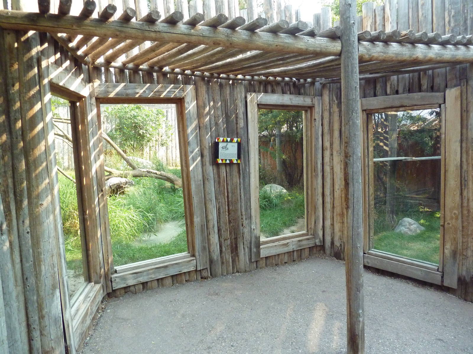 Serval Exhibit