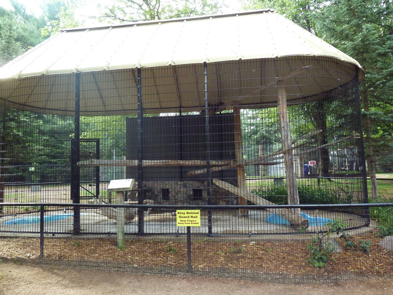 Serval Exhibit