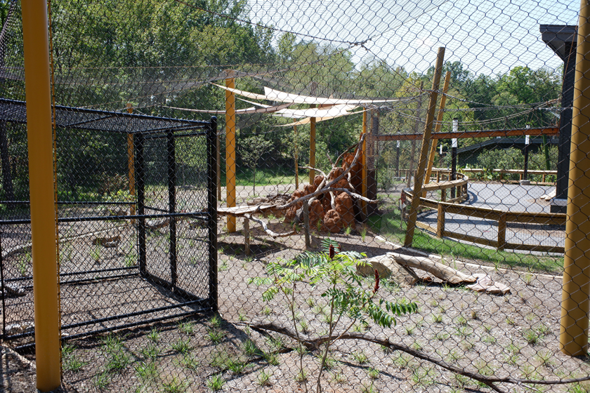 serval exhibit