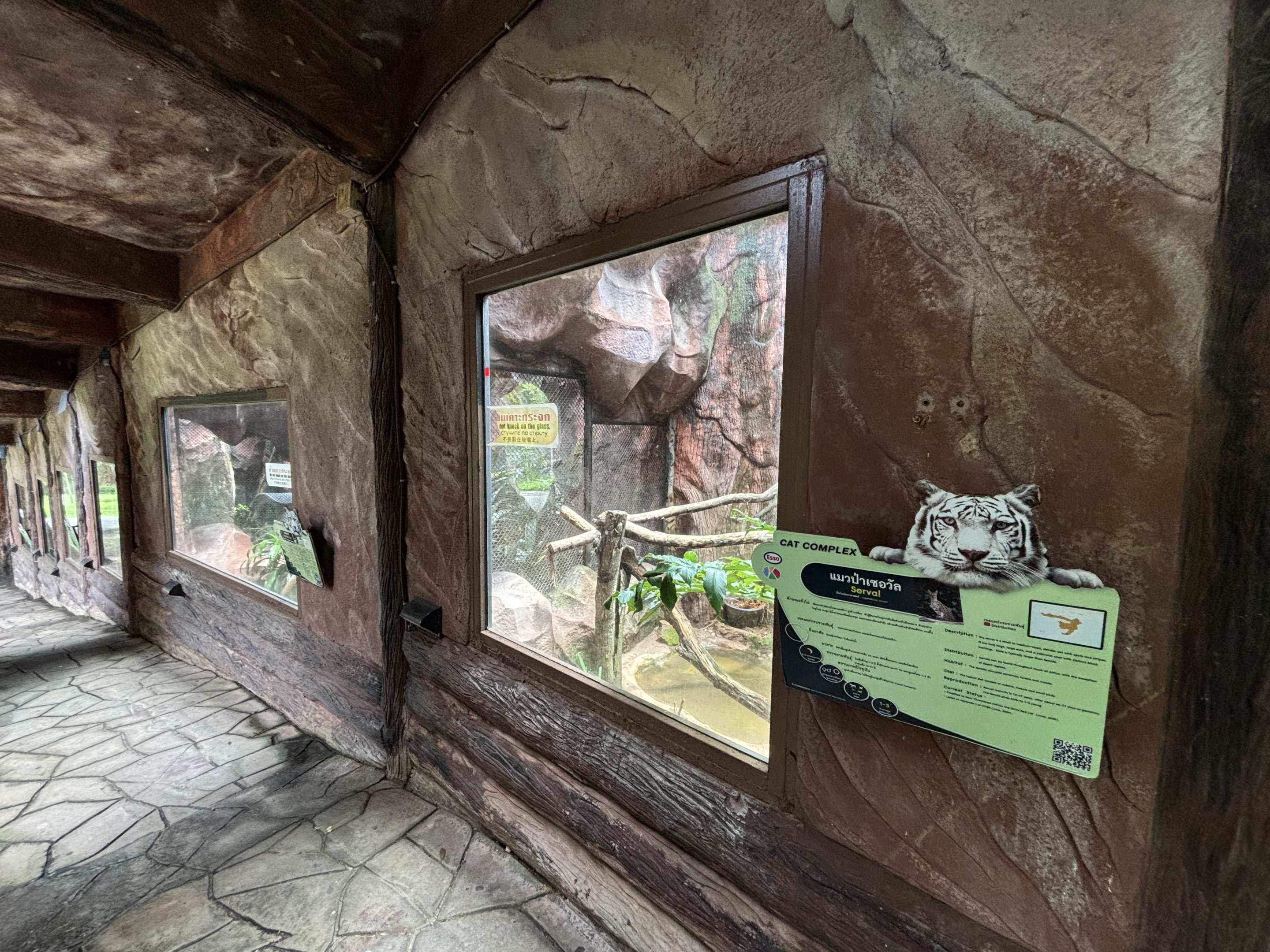 Serval Exhibit