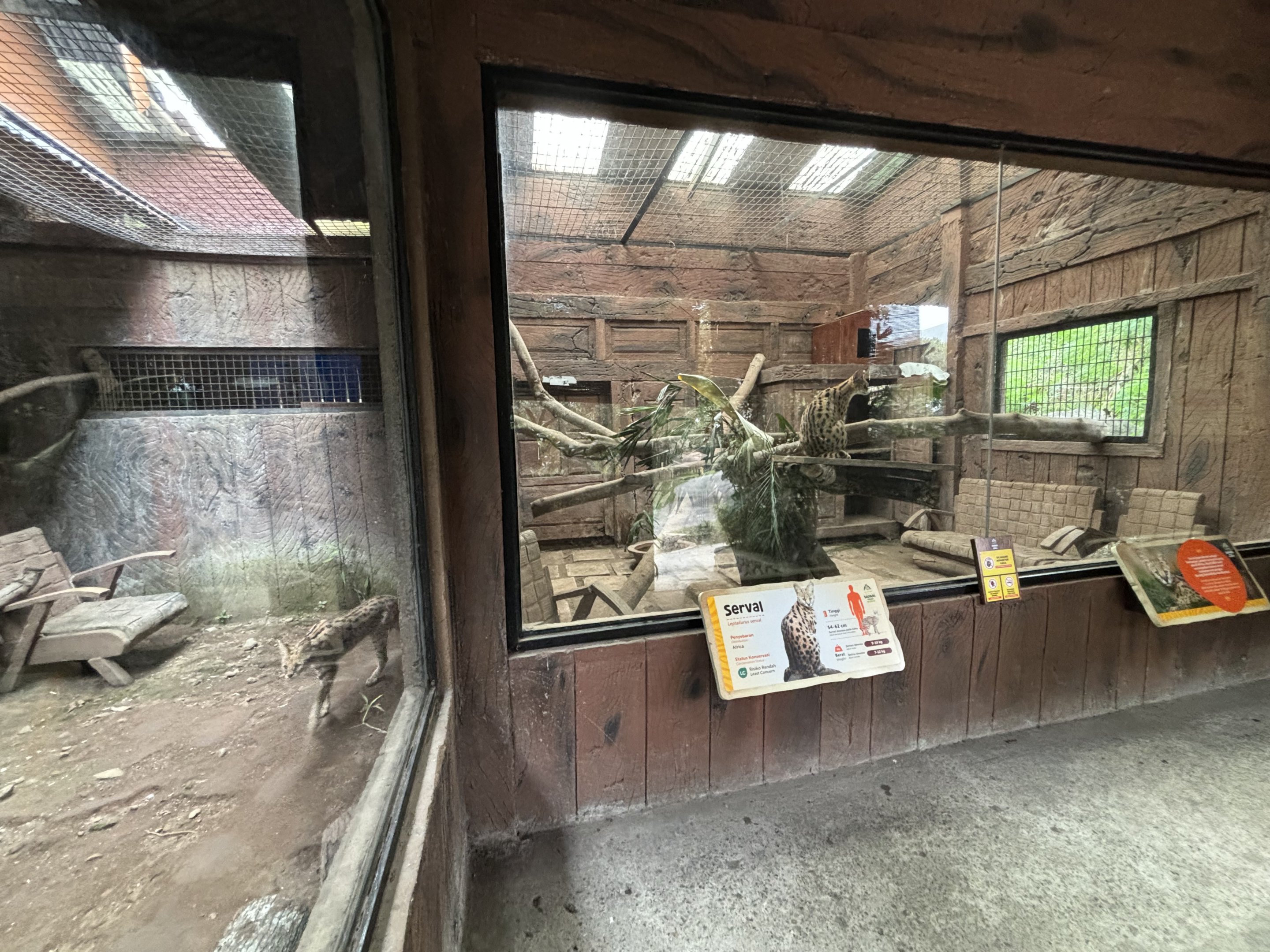 Serval Exhibits #1 + #2