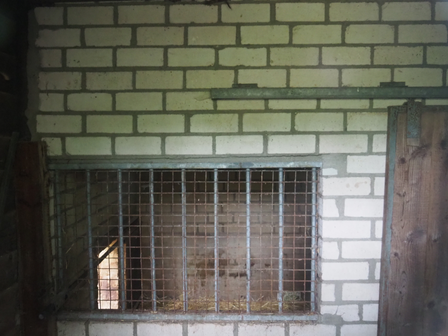 Serval holding, 2019-05-25