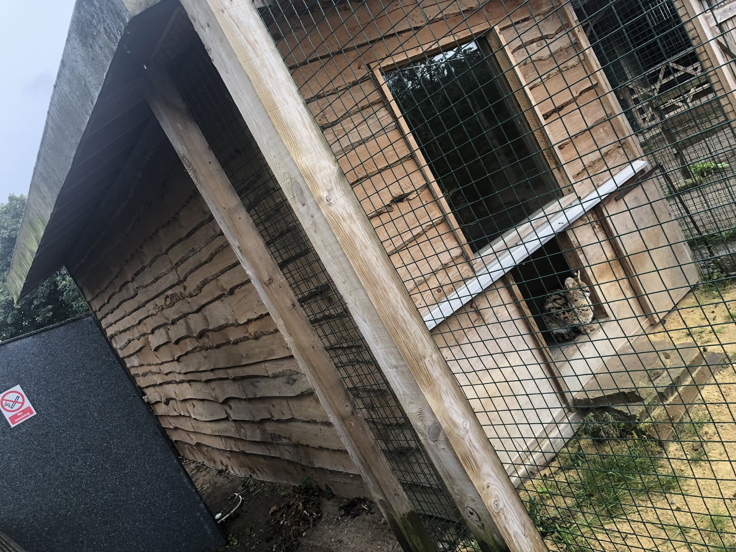 Serval House at Ponderosa Zoo (2022)