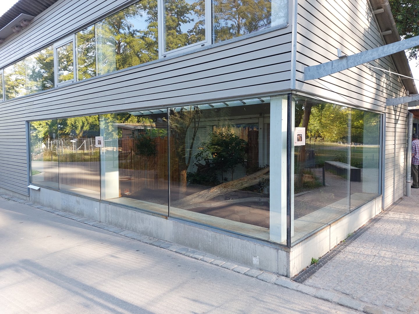 Serval indoor exhibit