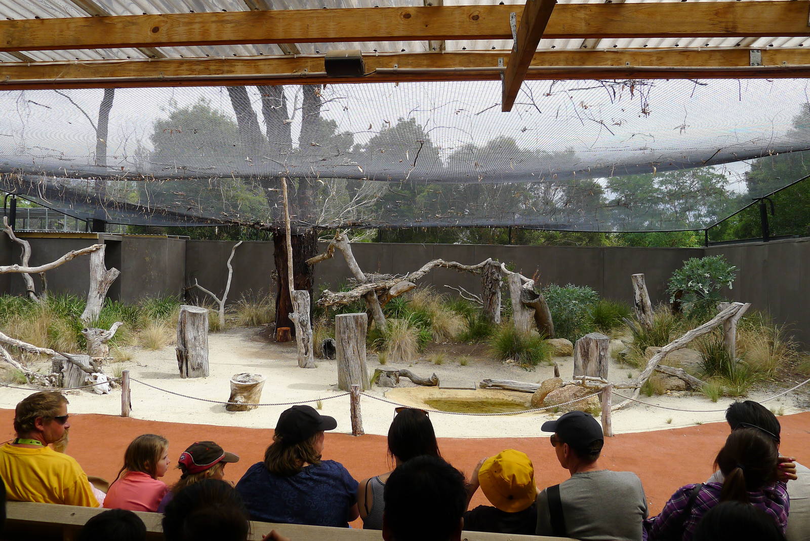 Serval  presentation