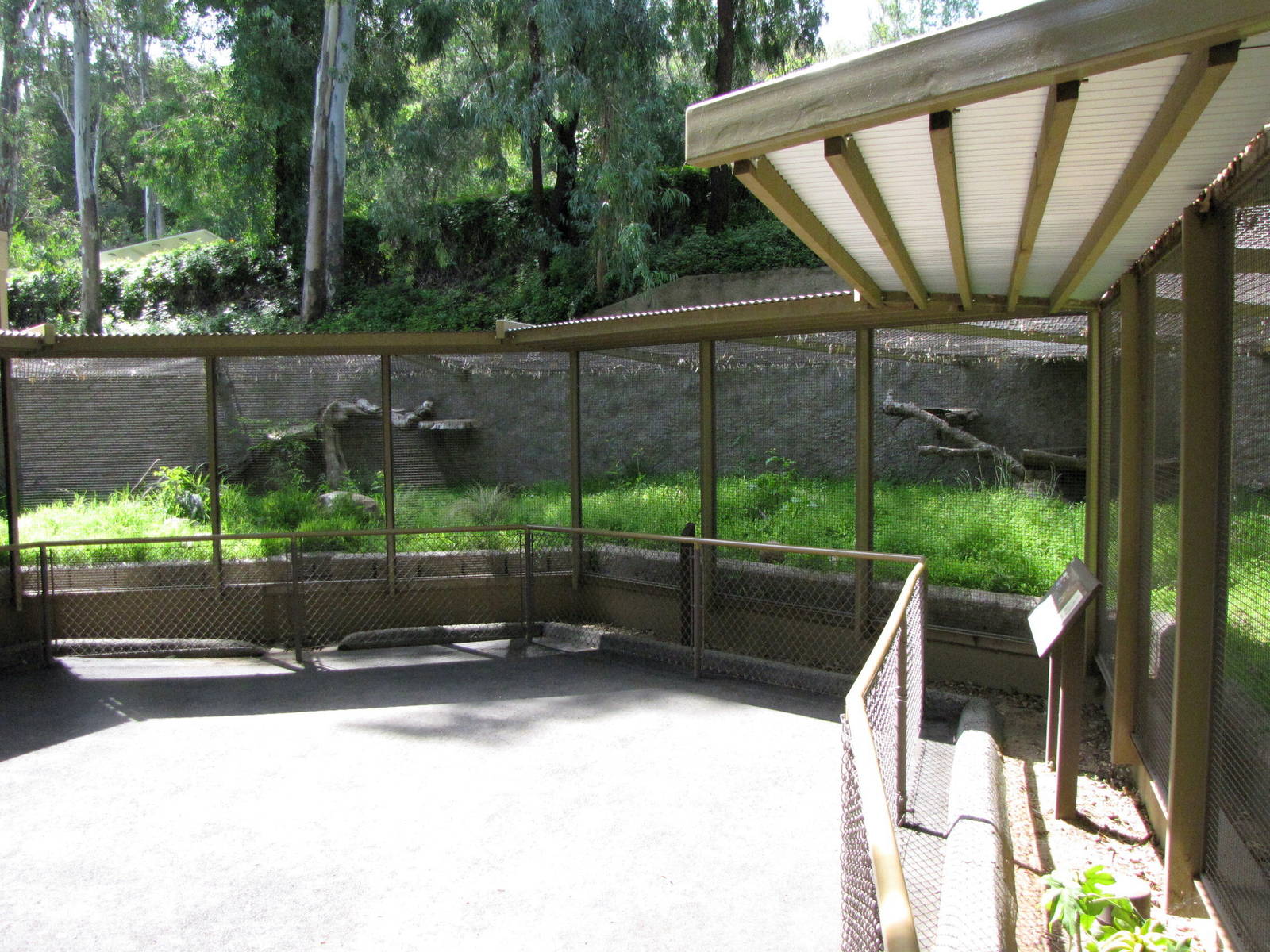 Serval Roundhouse Enclosure