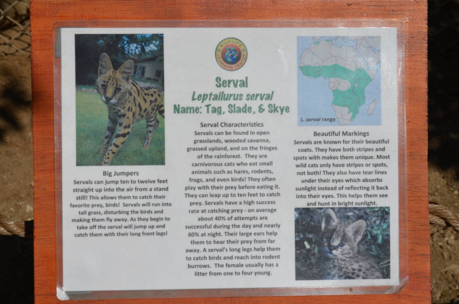 Serval Signage