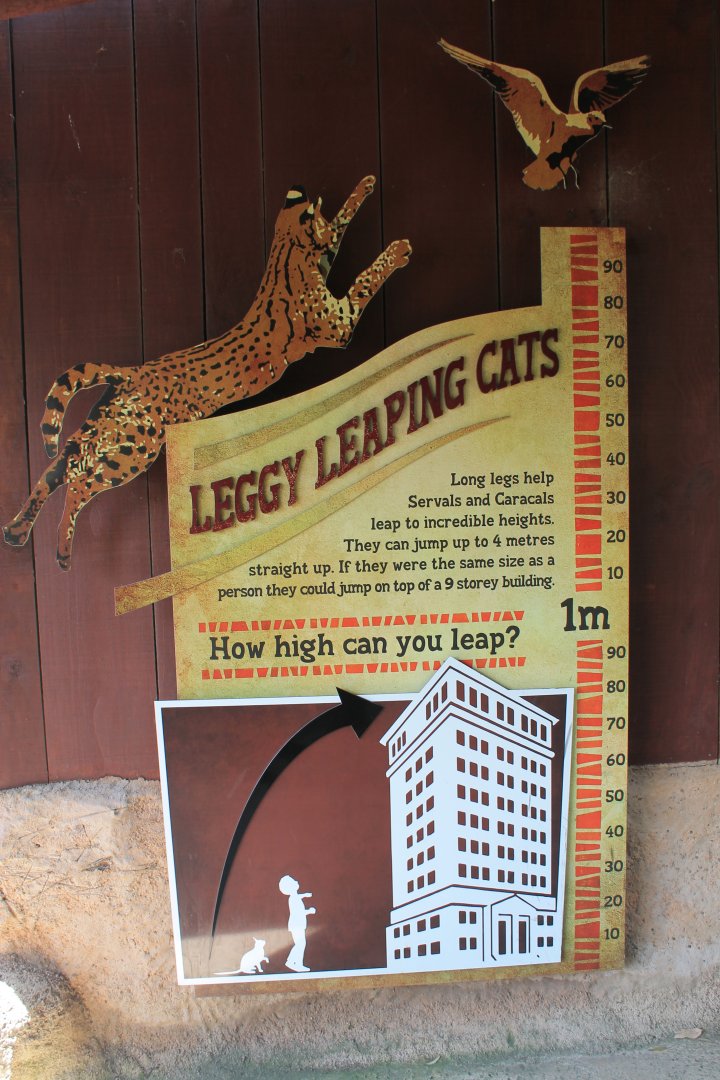 Serval signage