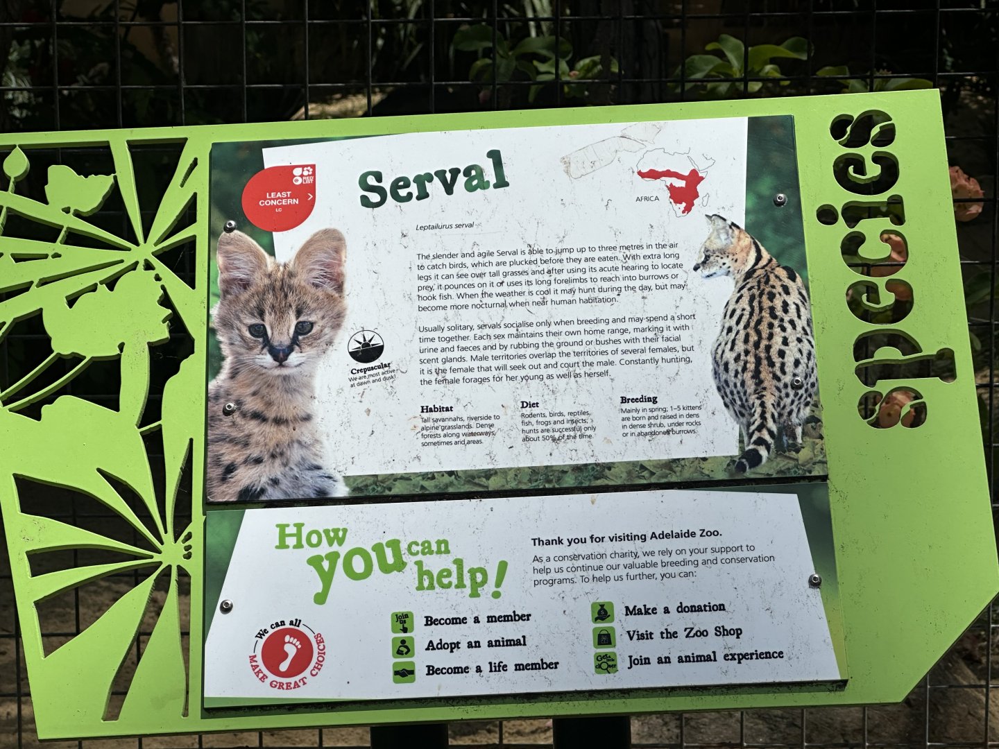 Serval signage
